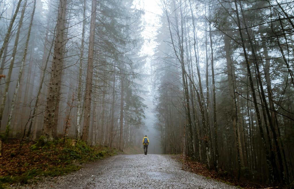 Persona caminando con una mochila austriaca por un sendero en medio de un bosque con árboles altos y niebla densa, usando una mochila amarilla.